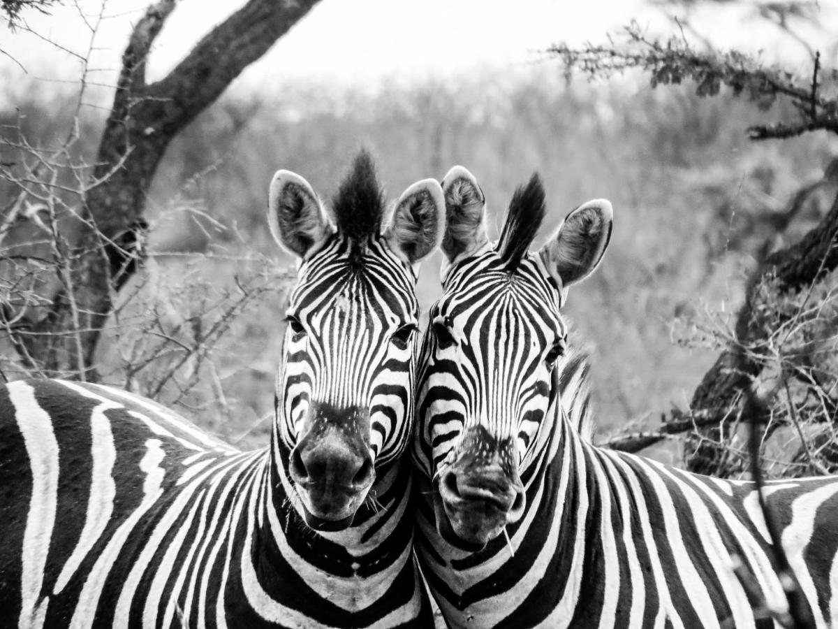 African Spirit Game Lodge Mkuze Εξωτερικό φωτογραφία